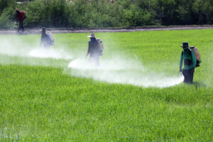 shutterstock_129570608-men-spraying-pesticides