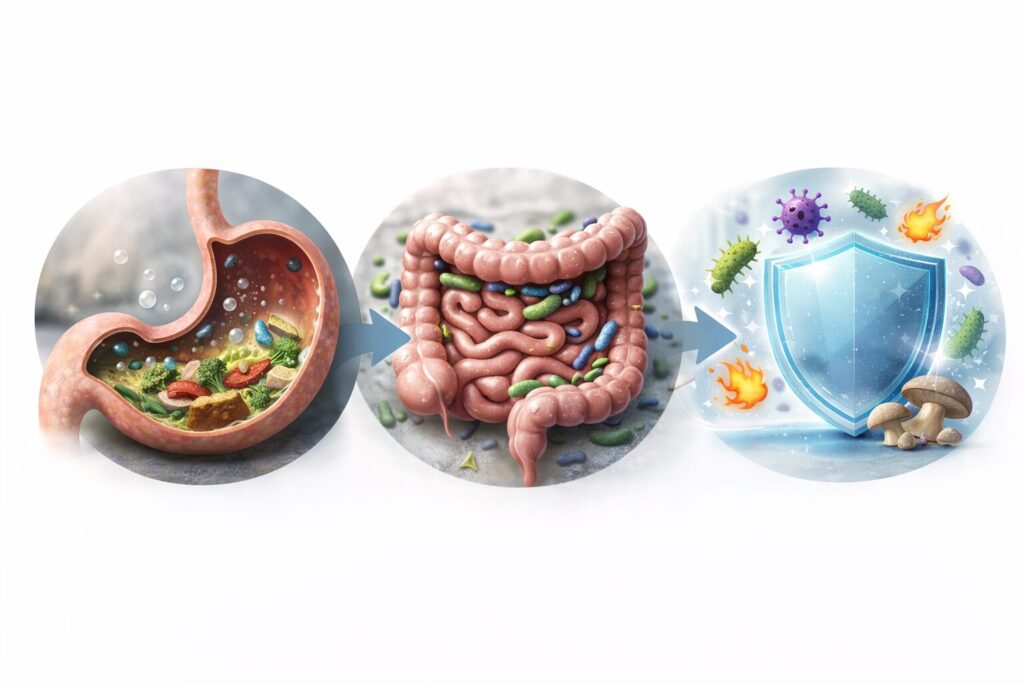 Digestive health and gut protection