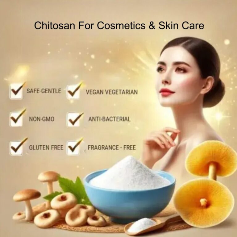 Chitosan applications